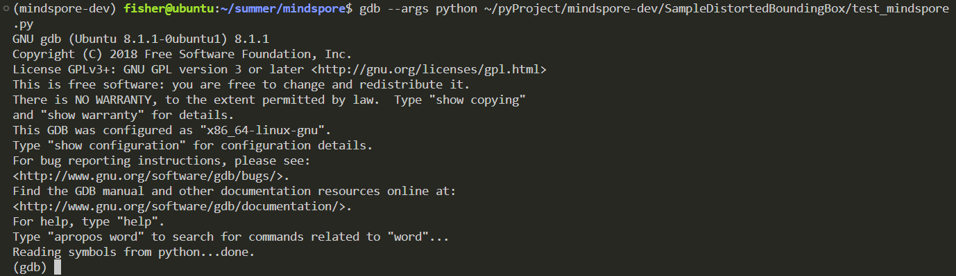 Start GDB