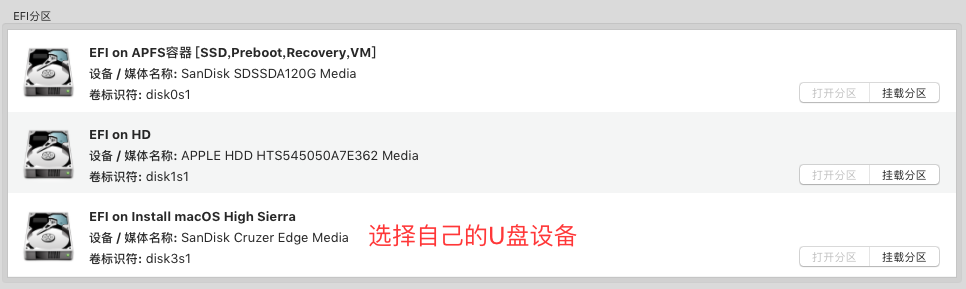 挂载EFI分区